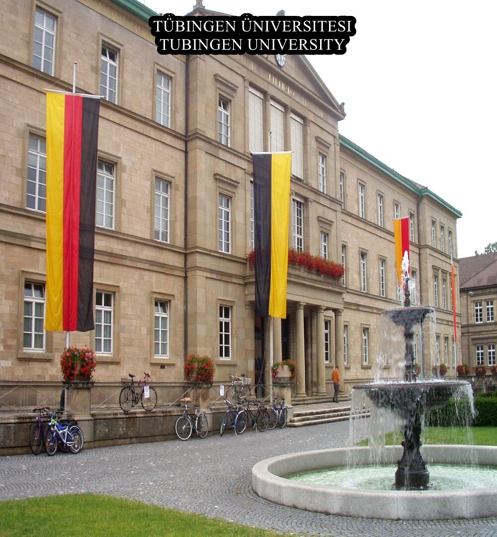 TÜBİNGEN ÜNİVERSİTESİ DÜNYA SIRALAMASI 213